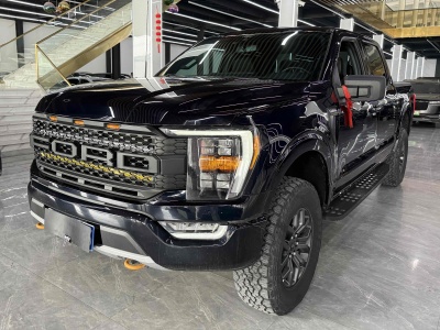 2022年2月 福特 F-150(進(jìn)口) 3.5T 猛禽圖片