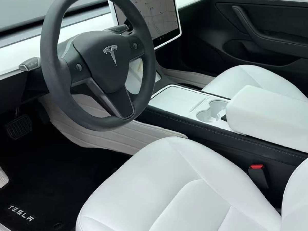 特斯拉 Model 3  2019款 標(biāo)準(zhǔn)續(xù)航后驅(qū)升級(jí)版圖片