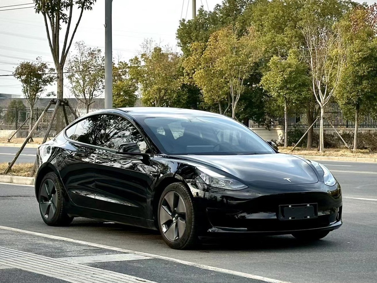 特斯拉 Model 3  2022款 后輪驅(qū)動版圖片