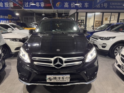 2019年3月 奔馳 奔馳GLE(進(jìn)口) GLE 400 4MATIC 臻藏版圖片