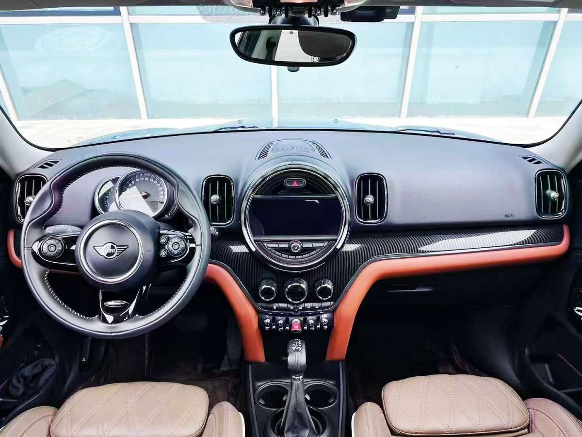 MINI COUNTRYMAN  2019款 2.0T COOPER S ALL4 藝術(shù)家圖片