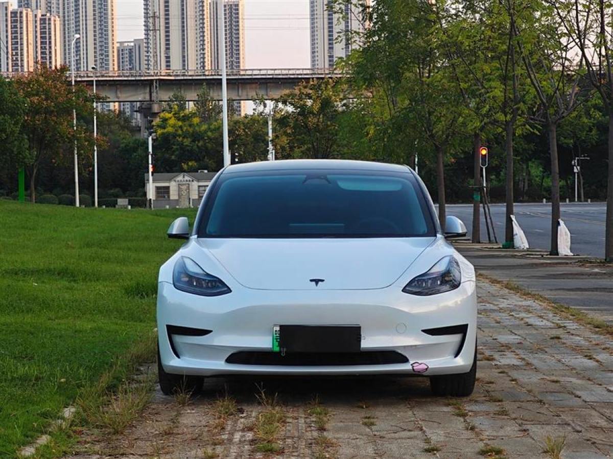 特斯拉 Model Y  2023款 后輪驅(qū)動版圖片