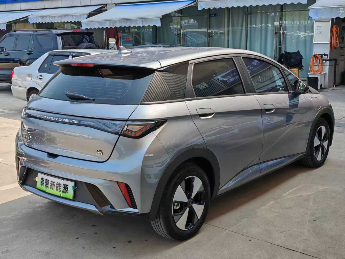 比亞迪 海豚  2024款 榮耀版 302km 活力版圖片