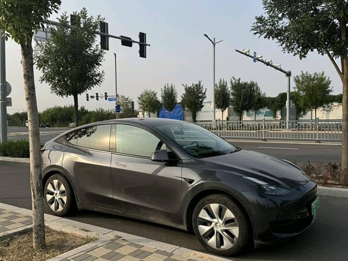 特斯拉 Model Y  2022款 后輪驅(qū)動版圖片