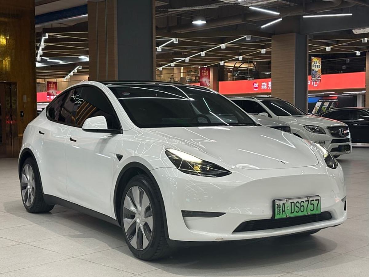 特斯拉 Model 3  2021款 改款 標(biāo)準(zhǔn)續(xù)航后驅(qū)升級版圖片