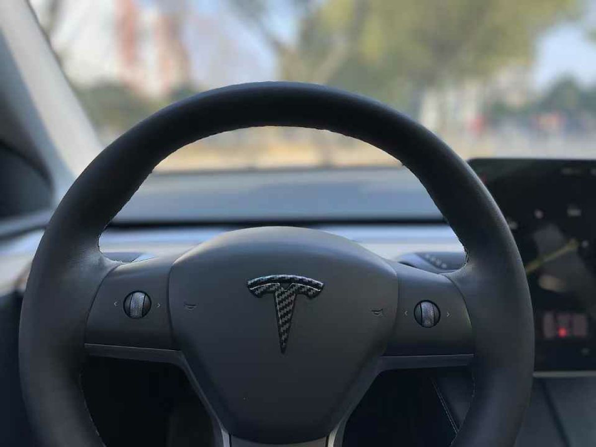 特斯拉 Model S  2021款 Plaid Plus 版圖片