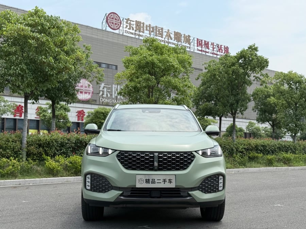WEY VV6  2020款 2.0T 兩驅(qū)智護(hù)+圖片