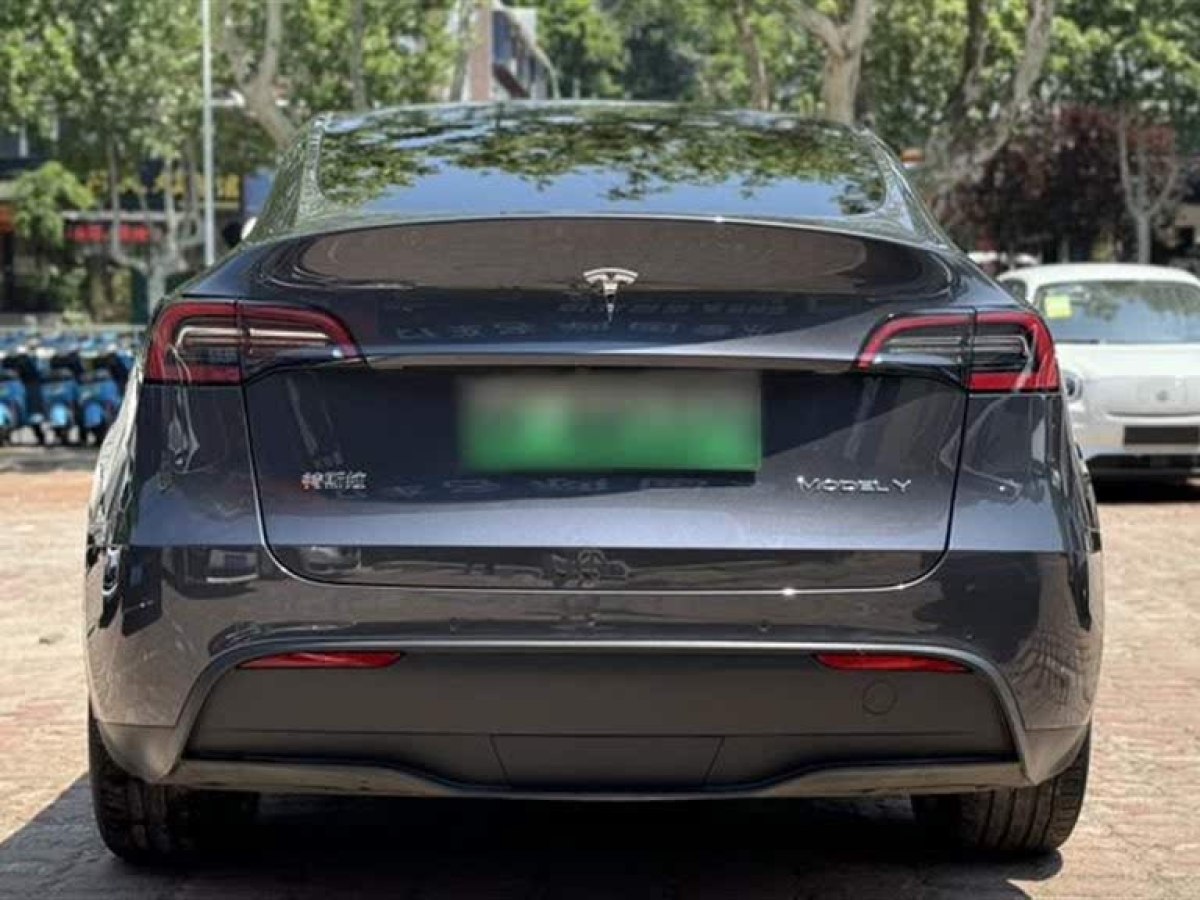 特斯拉 Model Y  2021款 標準續(xù)航后驅(qū)版圖片