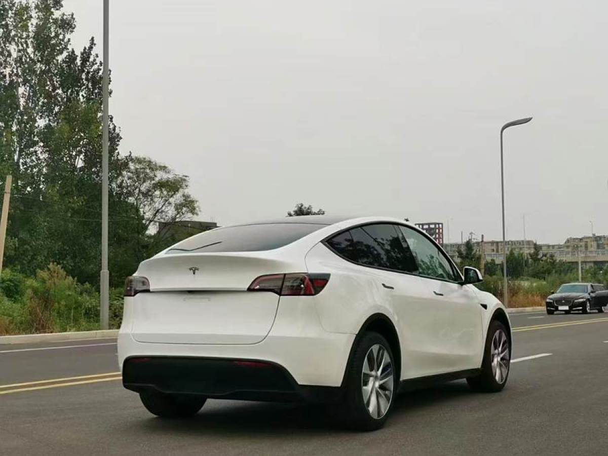 特斯拉 Model Y  2020款 改款 長(zhǎng)續(xù)航后輪驅(qū)動(dòng)版圖片