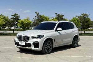 寶馬X5 寶馬 xDrive30i X設(shè)計(jì)套裝