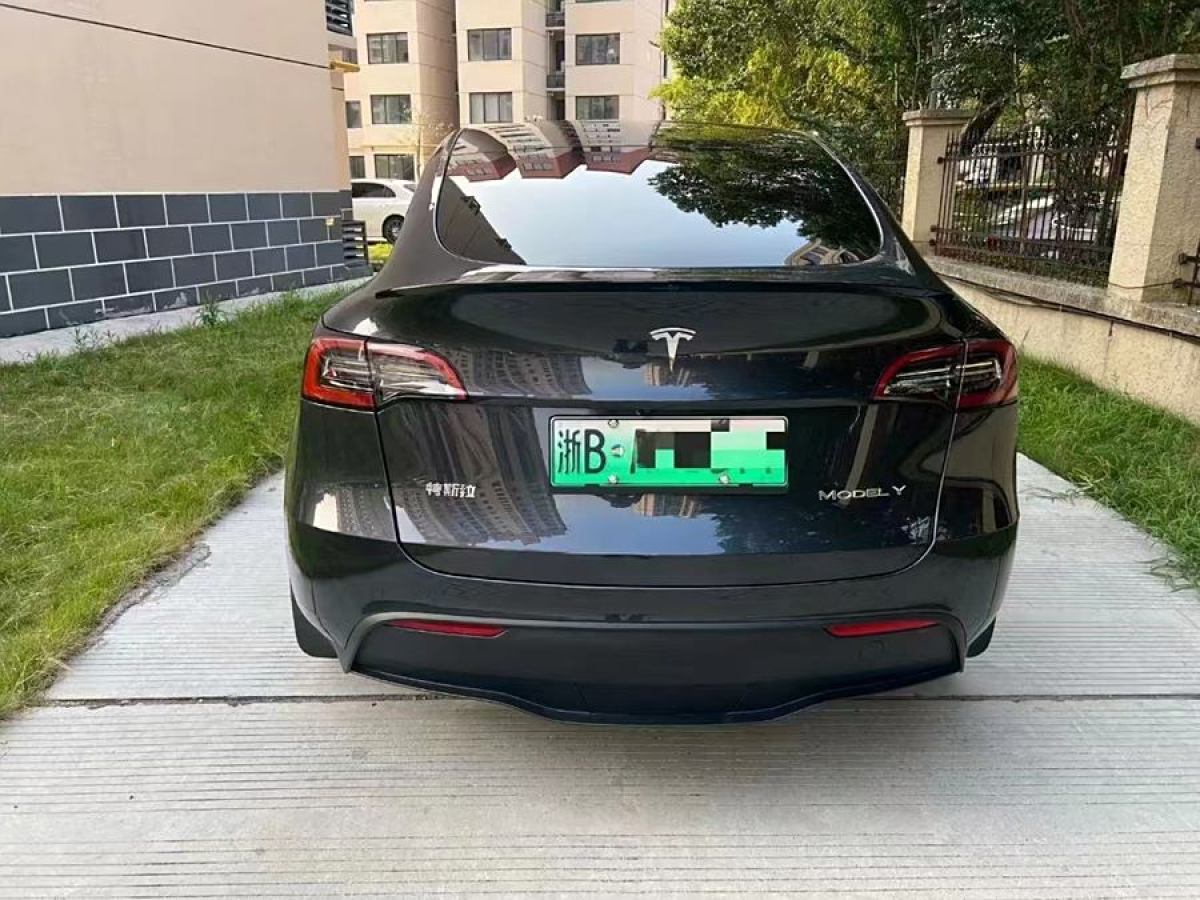 特斯拉 Model Y  2020款 改款 長續(xù)航后輪驅(qū)動(dòng)版圖片