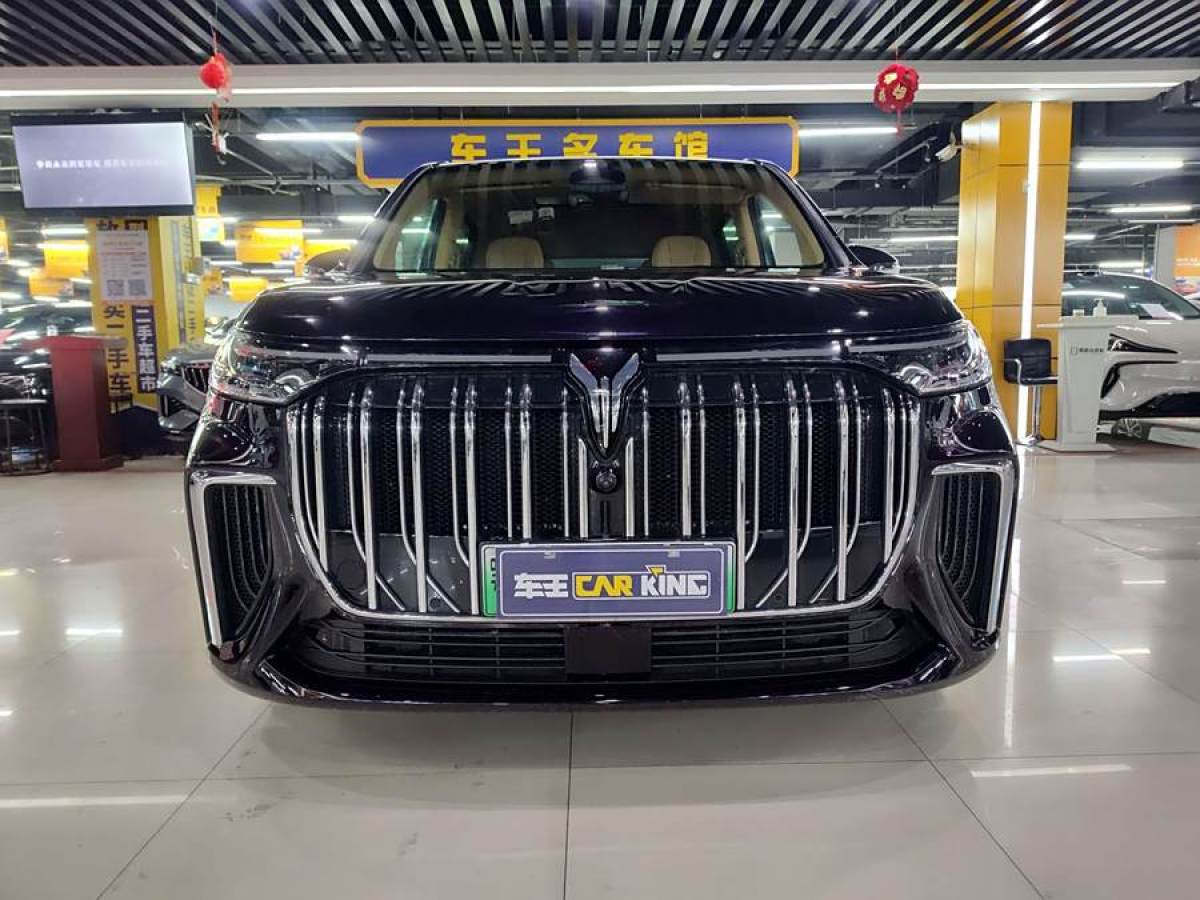 嵐圖 夢(mèng)想家  2024款 PHEV 超長(zhǎng)續(xù)航尊貴版圖片