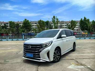 2023年6月 廣汽傳祺 M8 領(lǐng)秀系列 390T 尊享版圖片