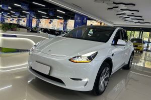 Model Y 特斯拉 长续航焕新版 双电机全轮驱动