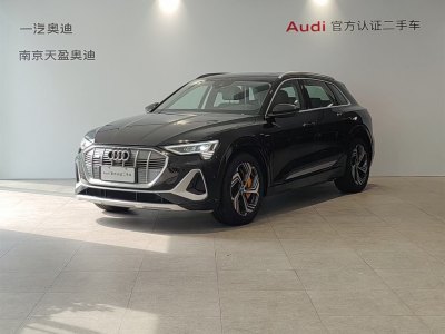 2021年5月 奥迪 奥迪e-tron 50 quattro 臻选型图片