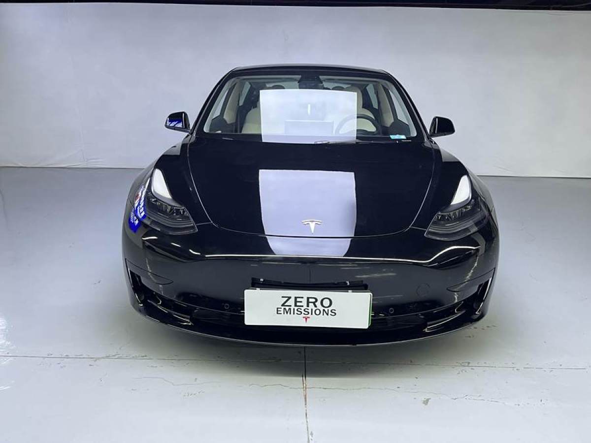 特斯拉 Model 3  2021款 改款 標(biāo)準(zhǔn)續(xù)航后驅(qū)升級版圖片