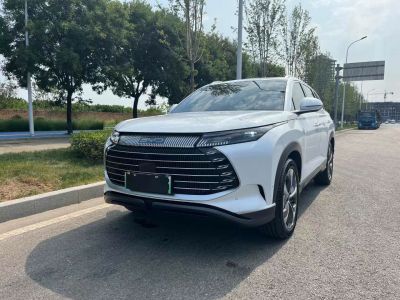 2024年6月 比亚迪 宋L 550km 卓越型图片