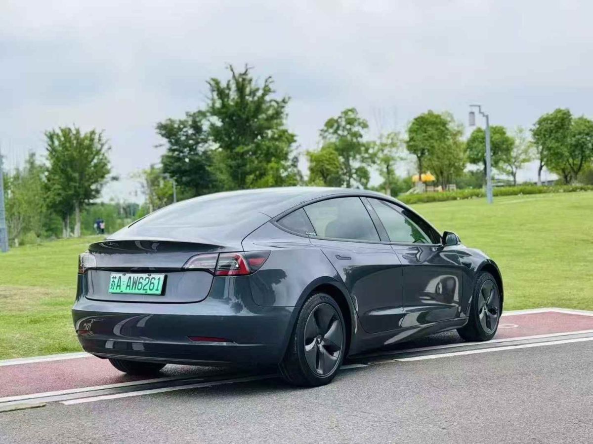 特斯拉 Model X  2020款 Performance 高性能版圖片