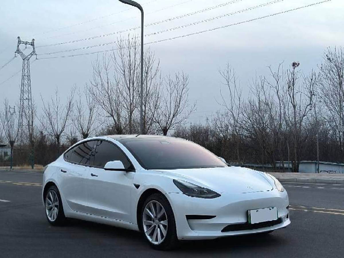 特斯拉 Model 3  2021款 改款 標(biāo)準(zhǔn)續(xù)航后驅(qū)升級(jí)版圖片