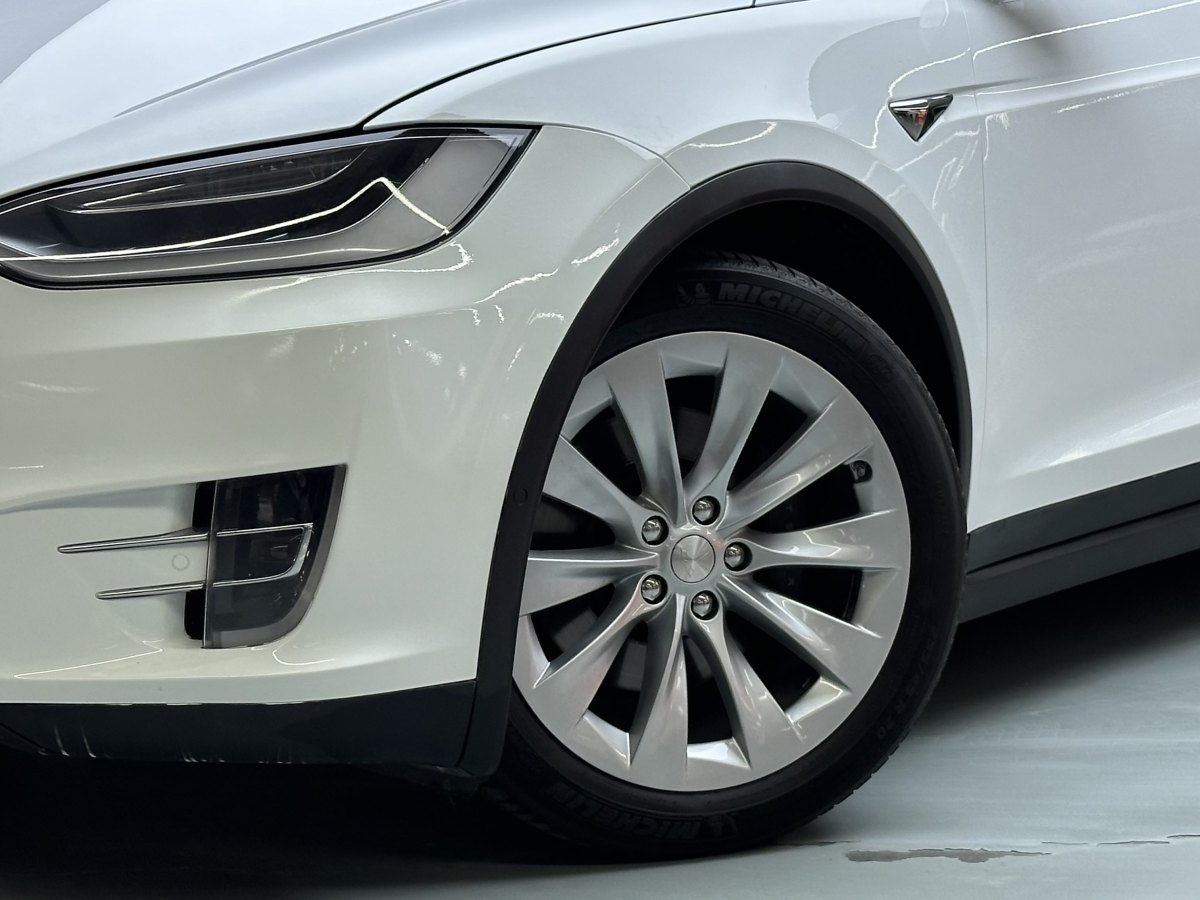 特斯拉 Model X  2016款 Model X 75D圖片