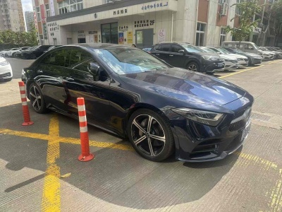 奔馳 奔馳CLS級(jí)(進(jìn)口) CLS 300 豪華型圖片