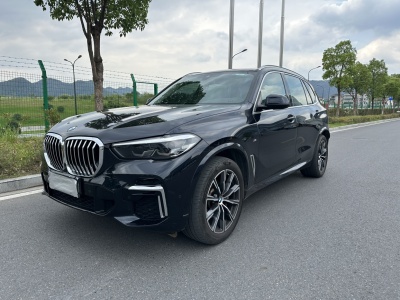 宝马 宝马X5 改款 xDrive 30Li M运动套装图片