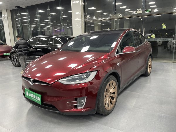 特斯拉 Model X  2017款 Model X 100D 长续航版