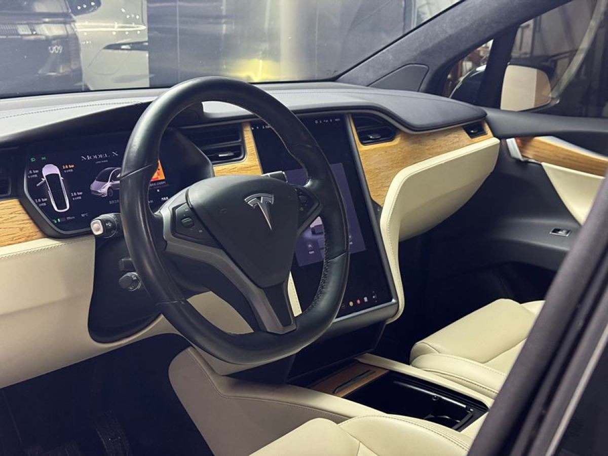 特斯拉 Model X  2019款 長續(xù)航版圖片