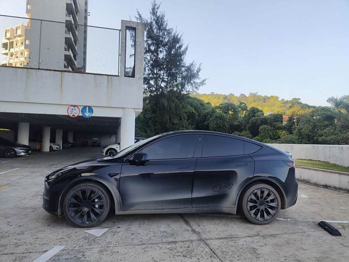 特斯拉 Model Y  2021款 改款 長(zhǎng)續(xù)航全輪驅(qū)動(dòng)版圖片