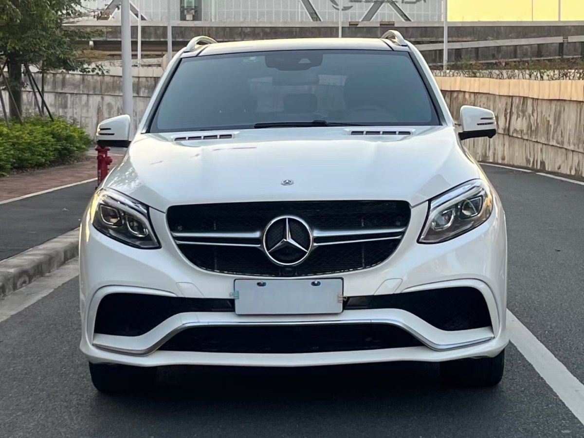 奔馳 奔馳GLE  2017款 GLE 320 4MATIC 動感型圖片