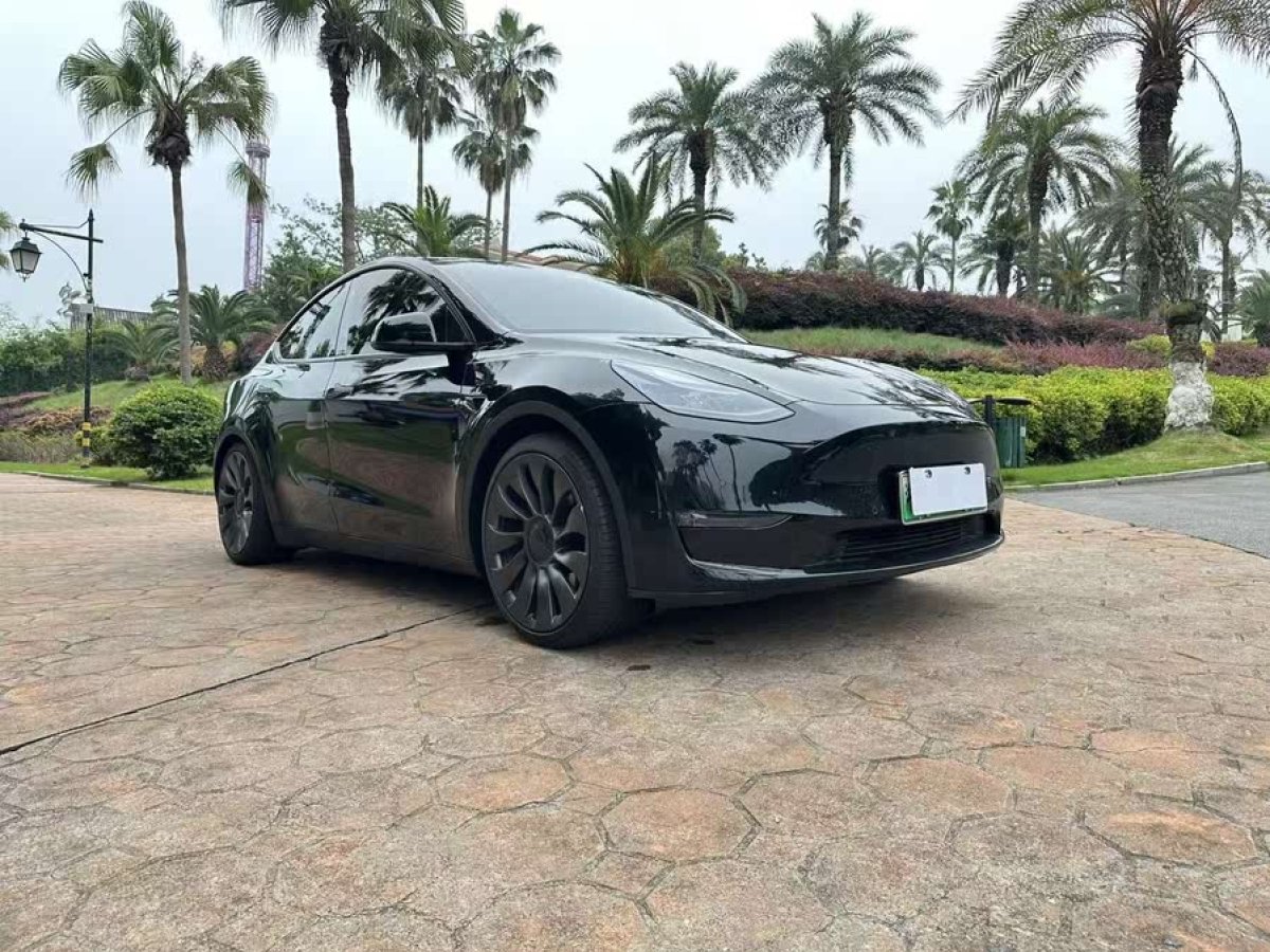 特斯拉 Model Y  2022款 Performance高性能全輪驅動版圖片