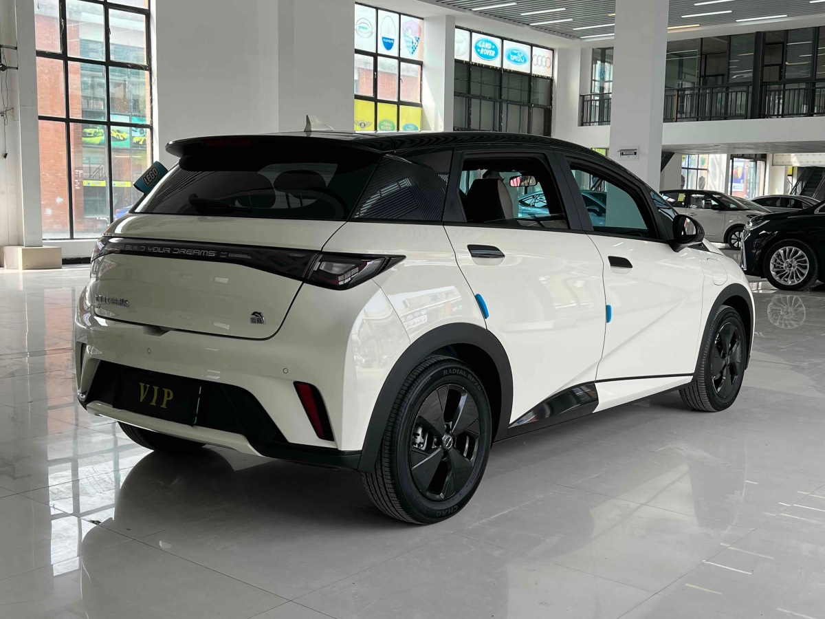 比亞迪 海豚  2023款 420km 時(shí)尚版圖片