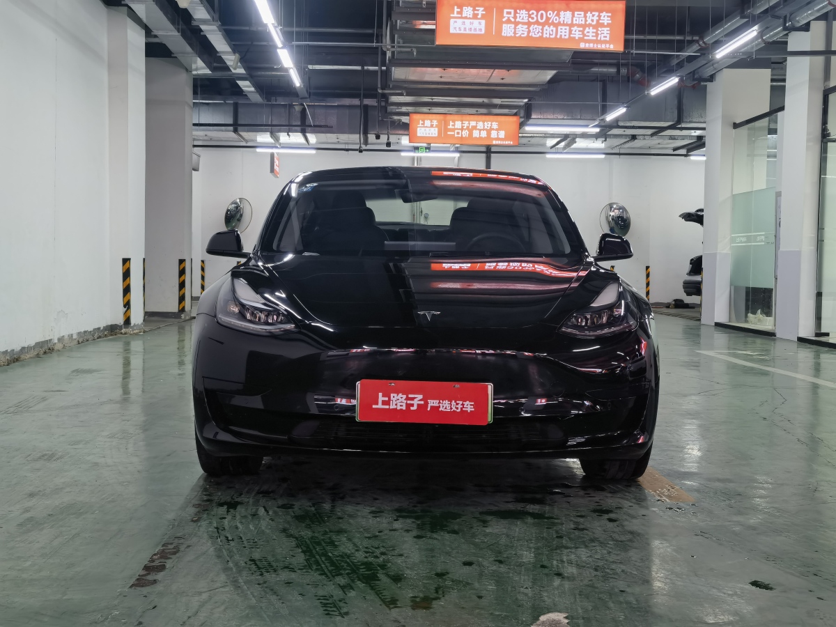 特斯拉 Model 3  2021款 標(biāo)準(zhǔn)續(xù)航后驅(qū)升級(jí)版 3D6圖片