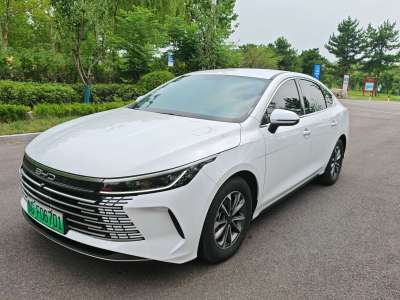 2024年03月 比亚迪 驱逐舰05 冠军版 DM-i 55KM 豪华型图片