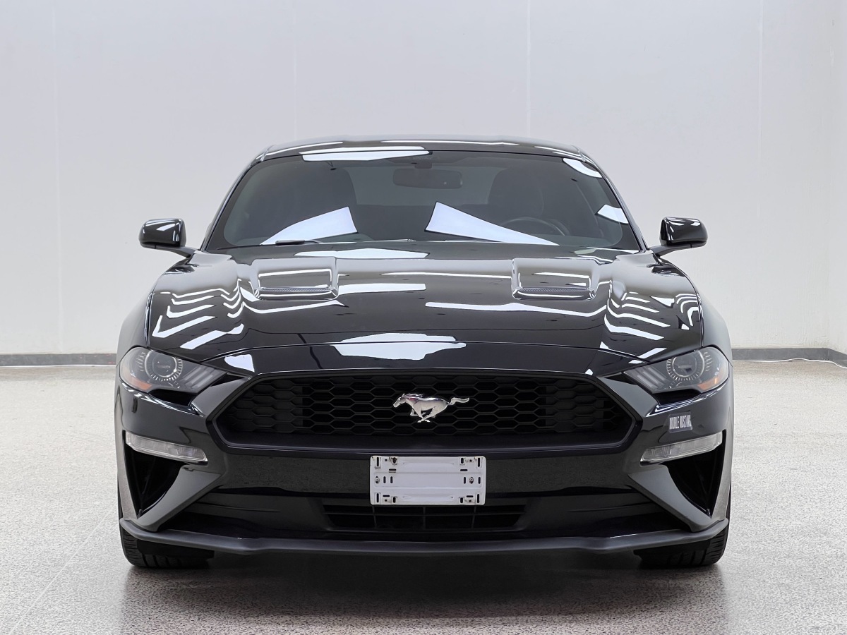 福特 Mustang  2019款 2.3L EcoBoost圖片