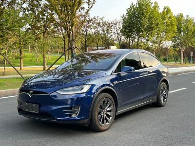 2017年12月 特斯拉 Model X Model X 100D 长续航版图片