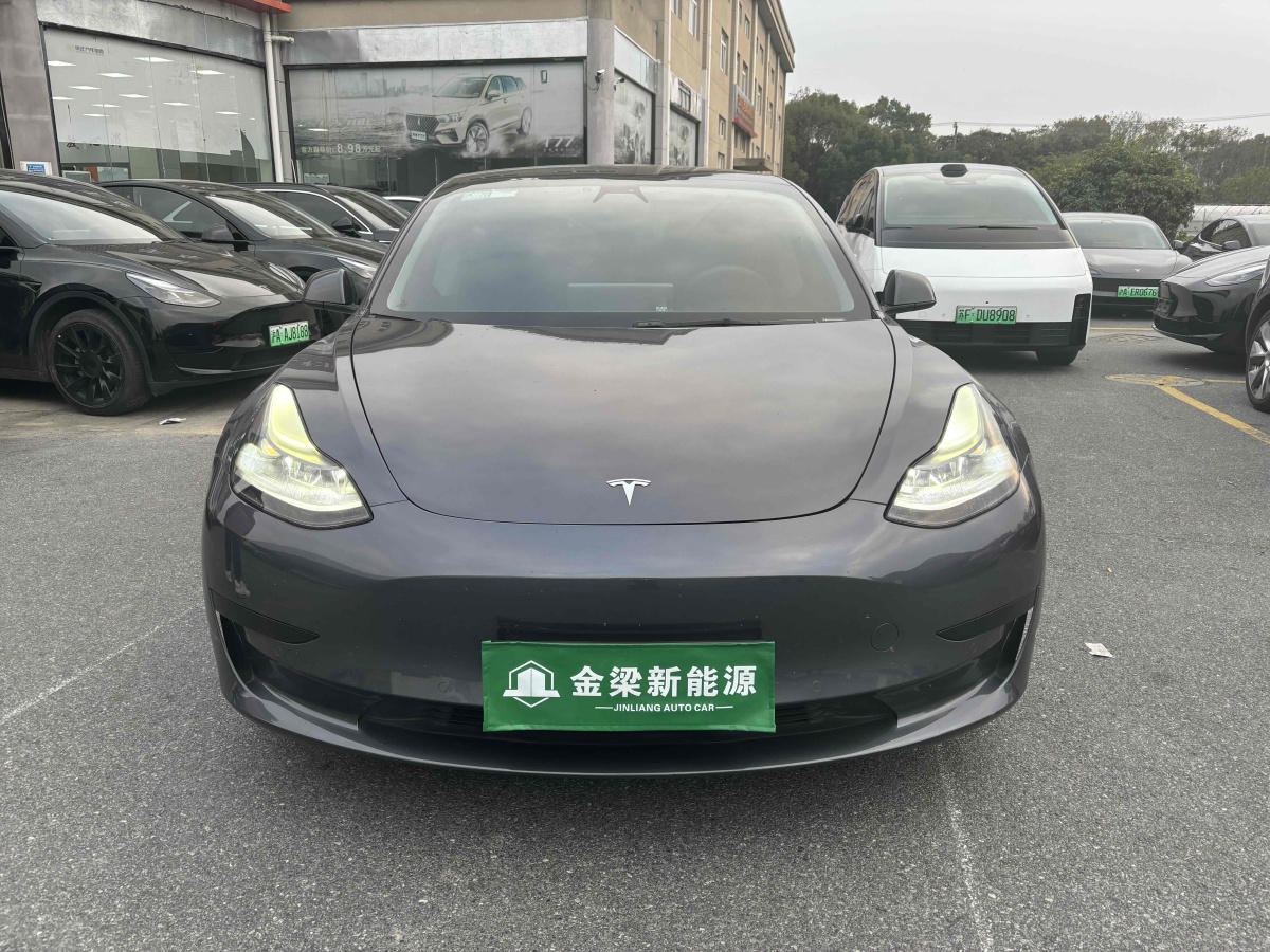 特斯拉 Model 3  2021款 標(biāo)準(zhǔn)續(xù)航后驅(qū)升級(jí)版 3D6圖片