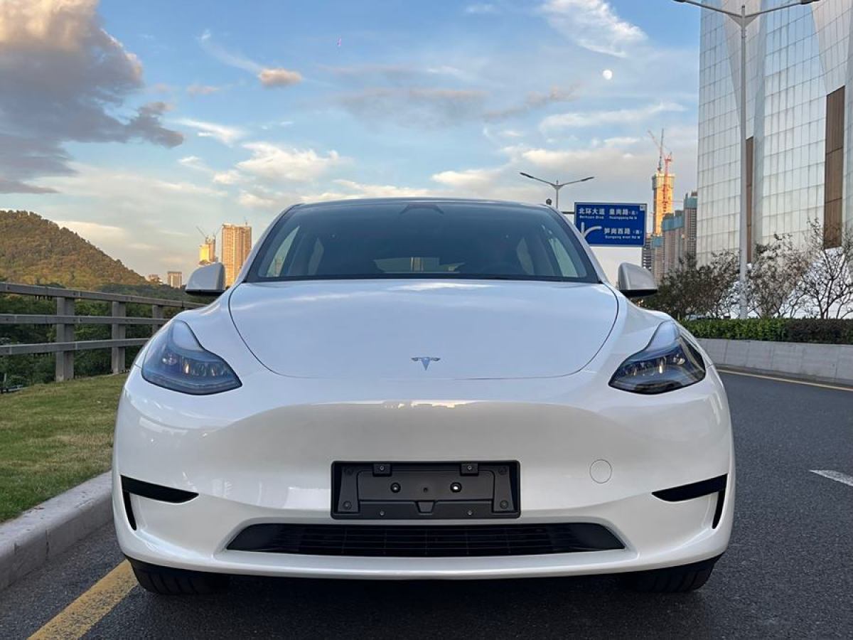 特斯拉 Model Y  2020款 改款 長續(xù)航后輪驅(qū)動版圖片