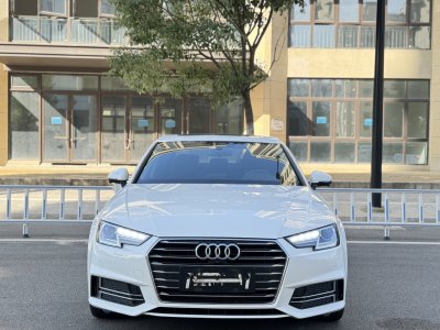 2019年1月 奥迪 奥迪A4L 40 TFSI 进取型 国V图片