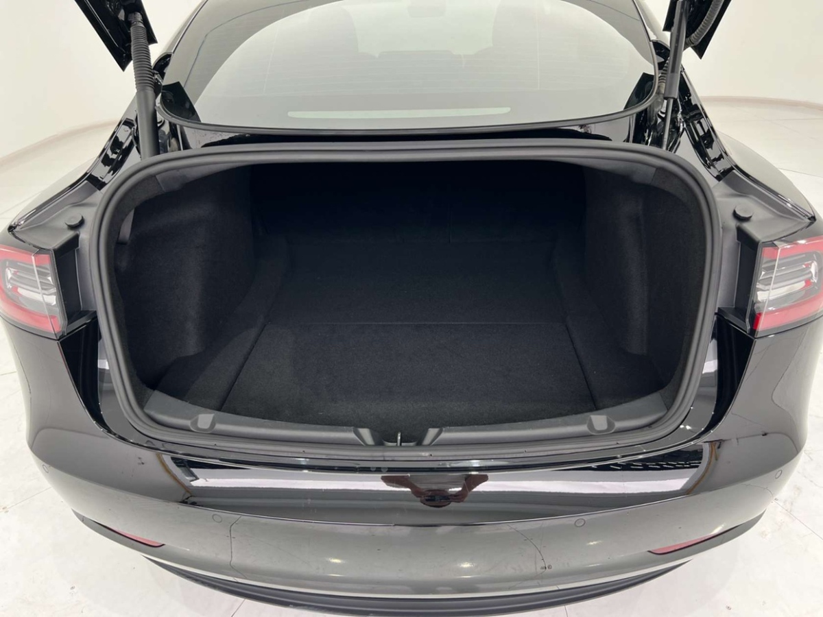 特斯拉 Model 3  2019款 标准续航后驱升级版图片