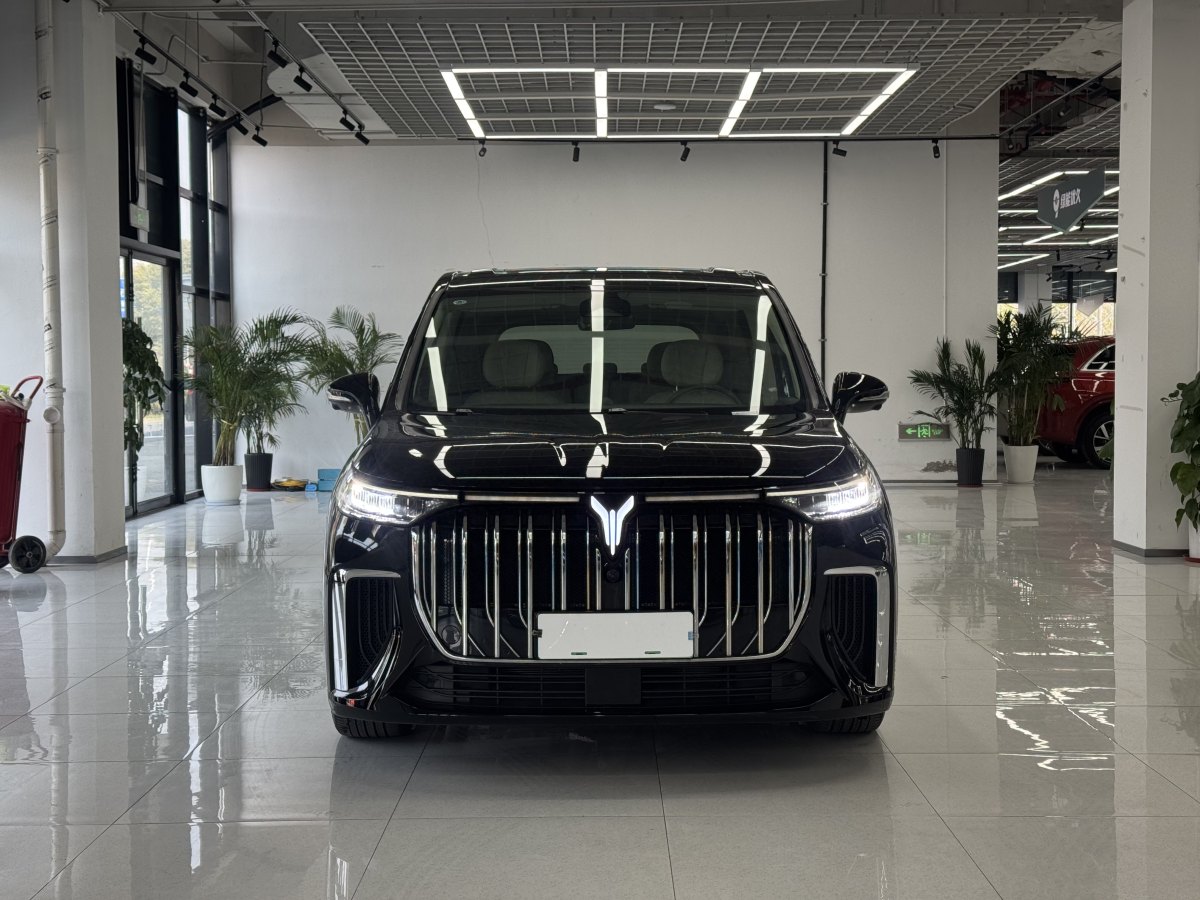 嵐圖 夢想家  2024款 PHEV 超長續(xù)航尊貴版圖片