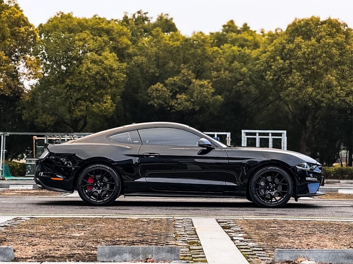 福特 Mustang  2020款 2.3L EcoBoost圖片