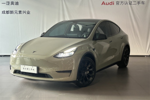 Model Y 特斯拉 后轮驱动版