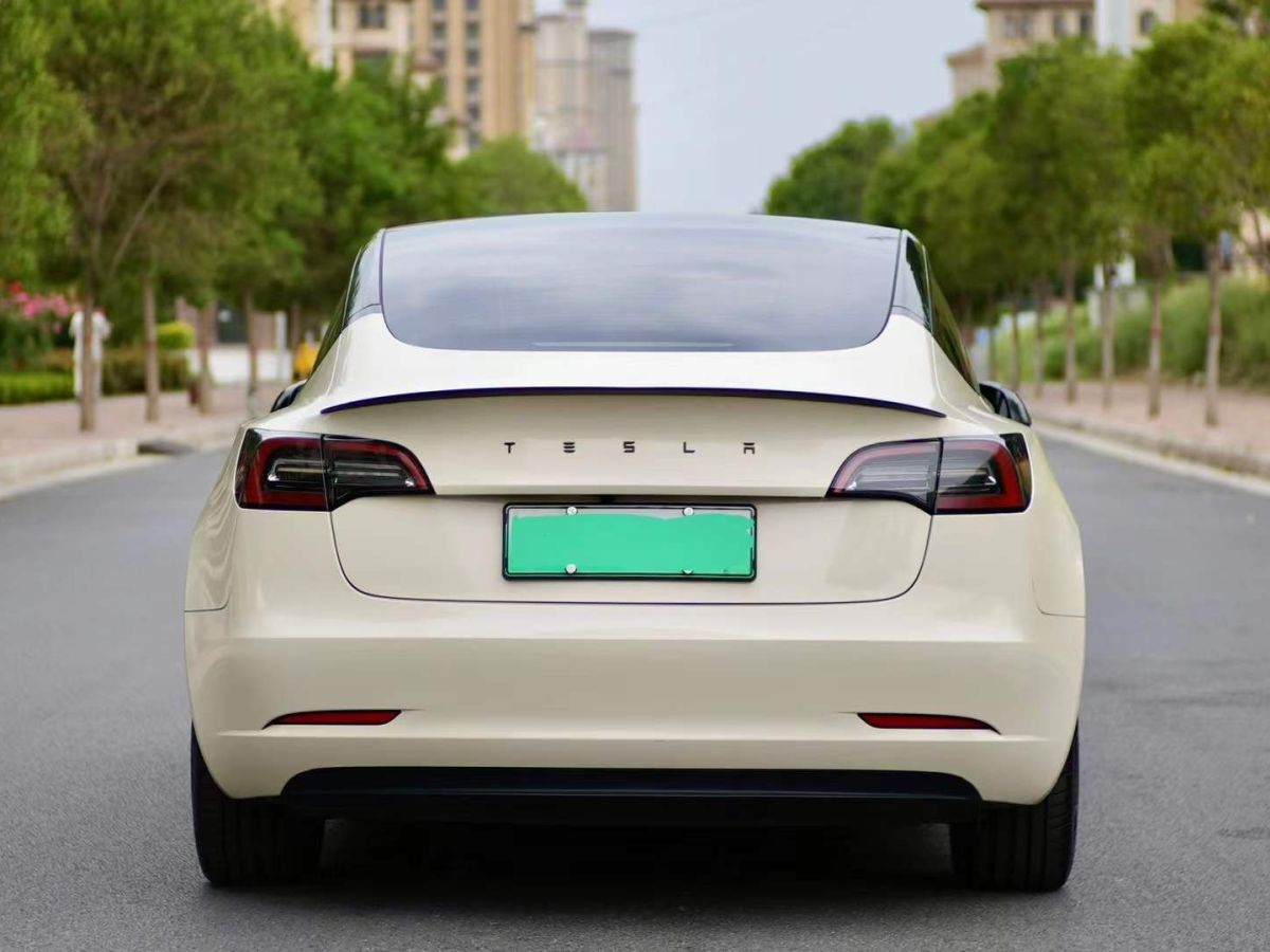 特斯拉 Model Y  2022款 Performance高性能全輪驅(qū)動(dòng)版圖片