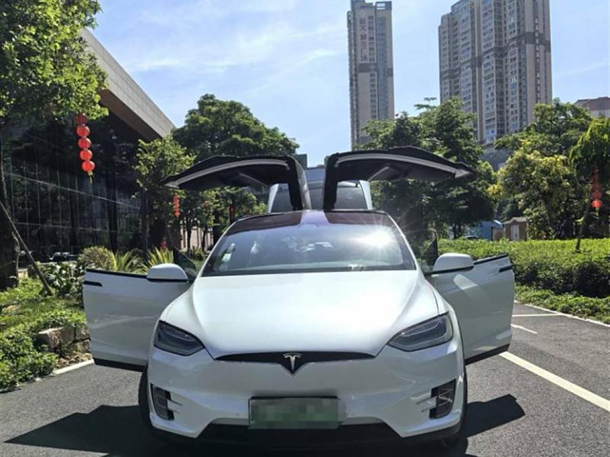 特斯拉 Model X  2019款 長(zhǎng)續(xù)航版圖片