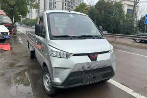 五菱電卡 五菱 尊享型國軒40.55kWh