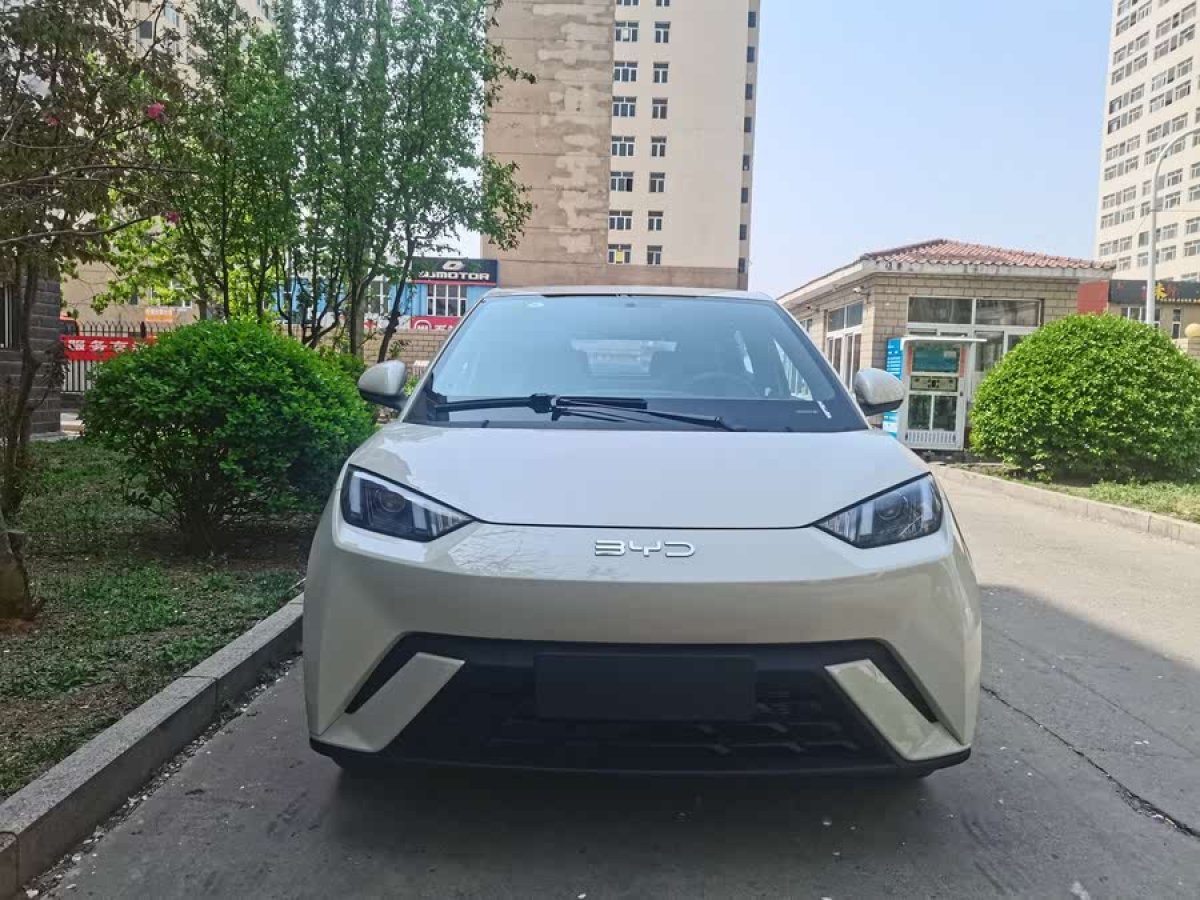 比亞迪 海鷗  2025款 305km 活力版圖片