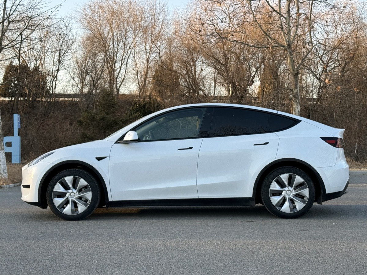 特斯拉 Model Y  2022款 后驅(qū)版圖片