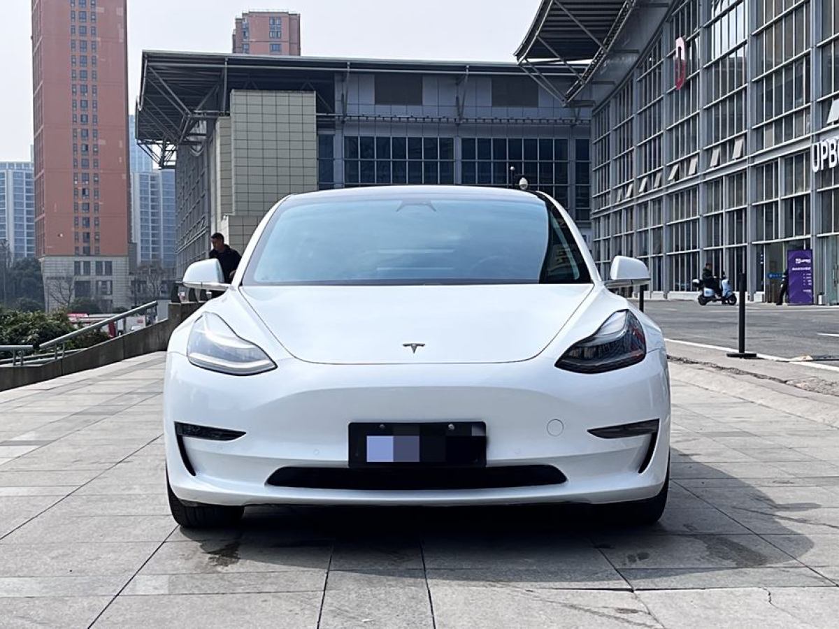 2020年5月特斯拉 Model 3  2019款 長續(xù)航全輪驅動版