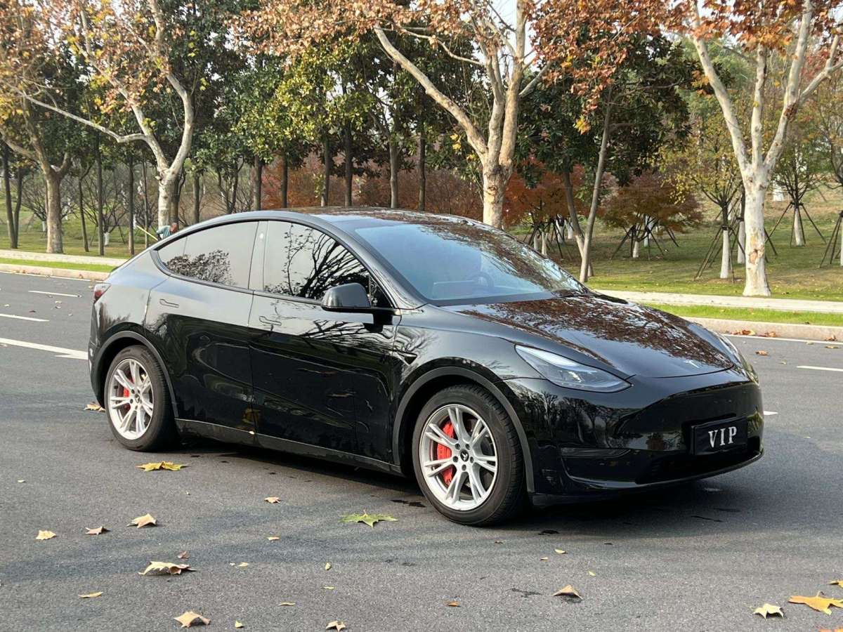 特斯拉 Model Y  2021款 標(biāo)準(zhǔn)續(xù)航后驅(qū)版圖片